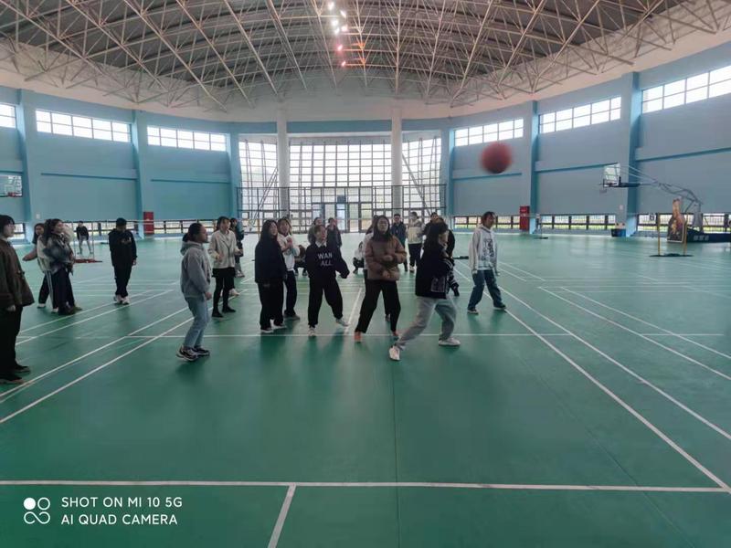 xc体育备用网址