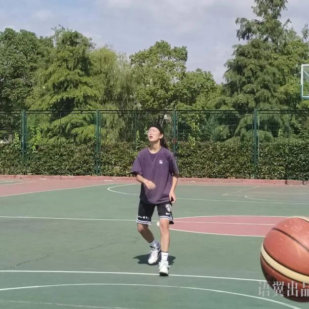 xc体育平台