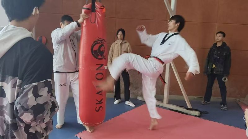 xc体育安全通道