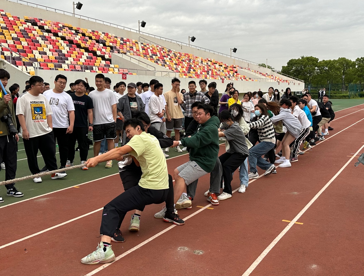 xc体育指定入口